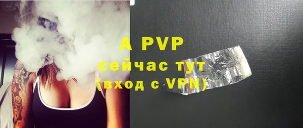 метадон Богданович
