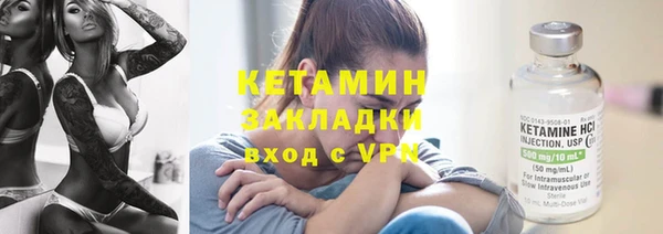 шишки Белокуриха