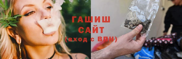 мдпв Богородск