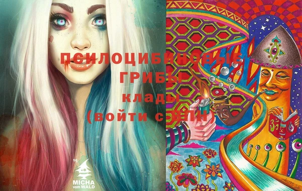 прущая мука Апатиты