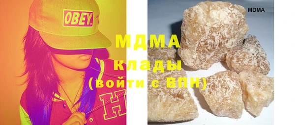 шишки Белокуриха