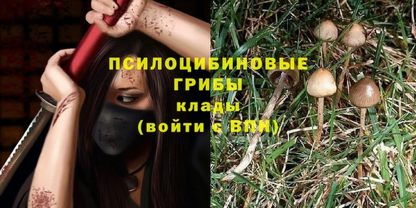дурь Богородицк