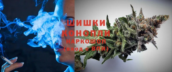 дурь Богородицк