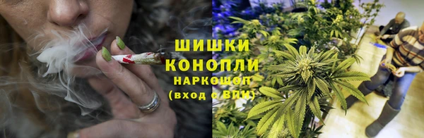 дурь Богородицк